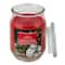 17oz. Christmas Scented Jar Candle by Ashland®